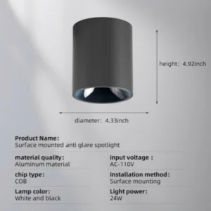 light fixture