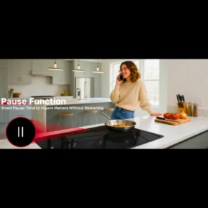 portable induction burner