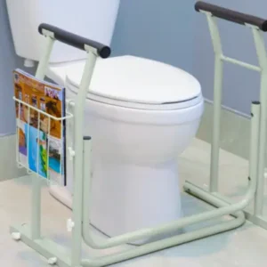 safety rail for toilet