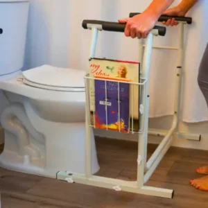 safety rails for toilet