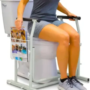 safety rail for toilet