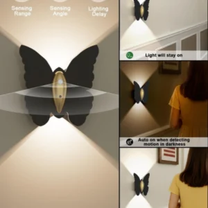 wireless motion detector